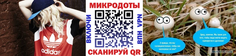 Галлюциногенные грибы Psilocybine cubensis  Среднеуральск 