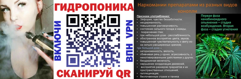 Бошки марихуана MAZAR Среднеуральск